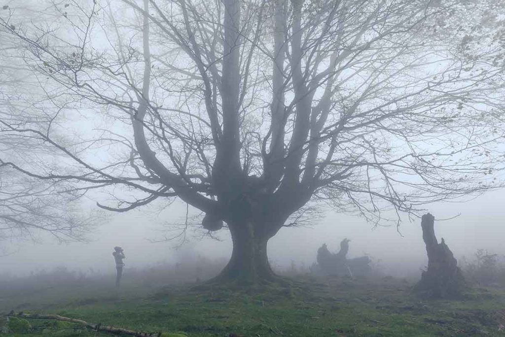 Parque Natural del Gorbeia en otoño