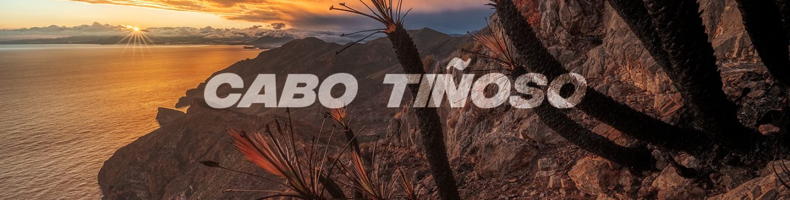 INCENDIO EN CABO TIÑOSO